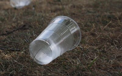 Města v Ústeckém kraji evidují milionové dluhy za svoz odpadu, poplatky nezvýší