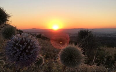 Ekologická soutěž Adapterra Awards zná vítěze, cenu získal např. povodňový park