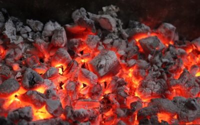 Carbon Tracker 2025: Většina firem už počítá a zveřejňuje svou uhlíkovou stopu
