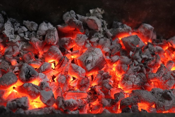 Carbon Tracker 2025: Většina firem už počítá a zveřejňuje svou uhlíkovou stopu