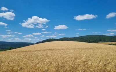Europoslanci podpořili snížení emisí o 90 procent do roku 2040 oproti roku 1990